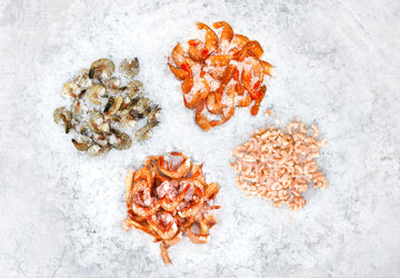 Wild Shrimp & Prawn Pack