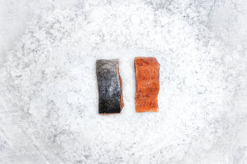 Wild Chinook Salmon Portion