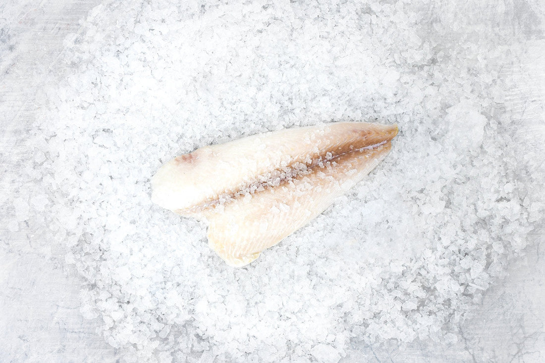 Petrale Sole Fillet