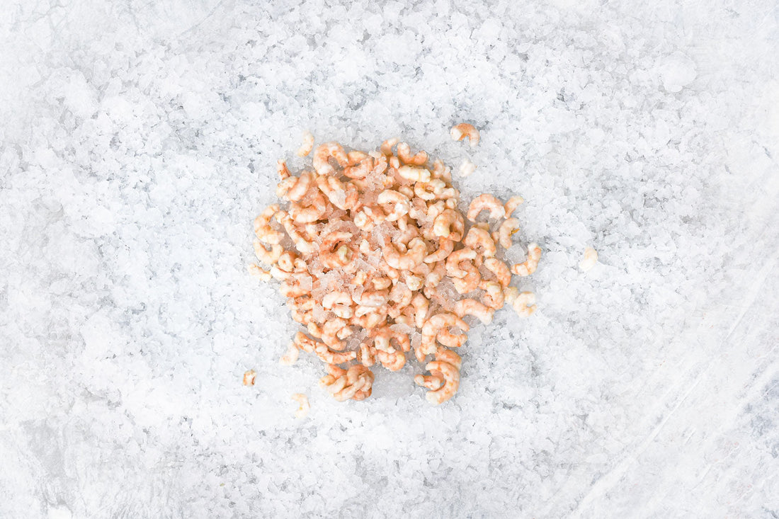 Wild Ocean Shrimp - Cooked