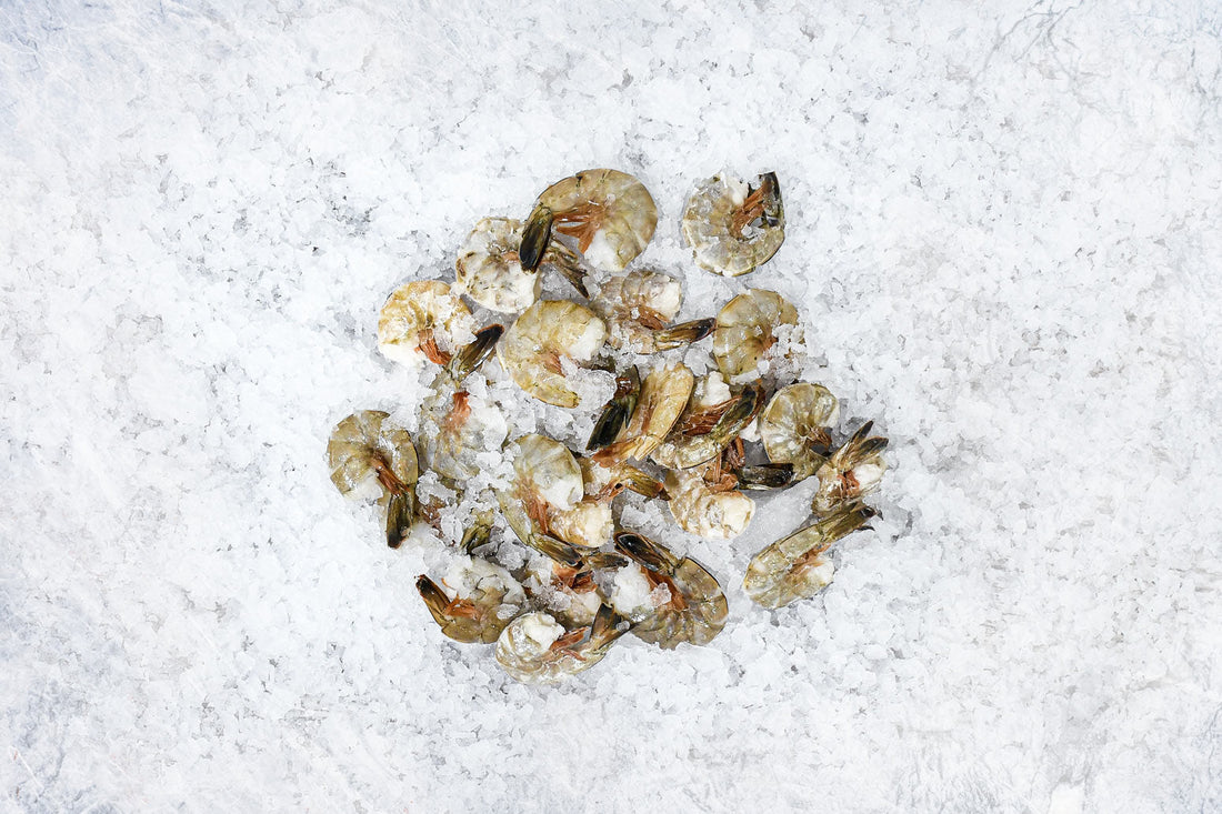 Wild Blue Shrimp
